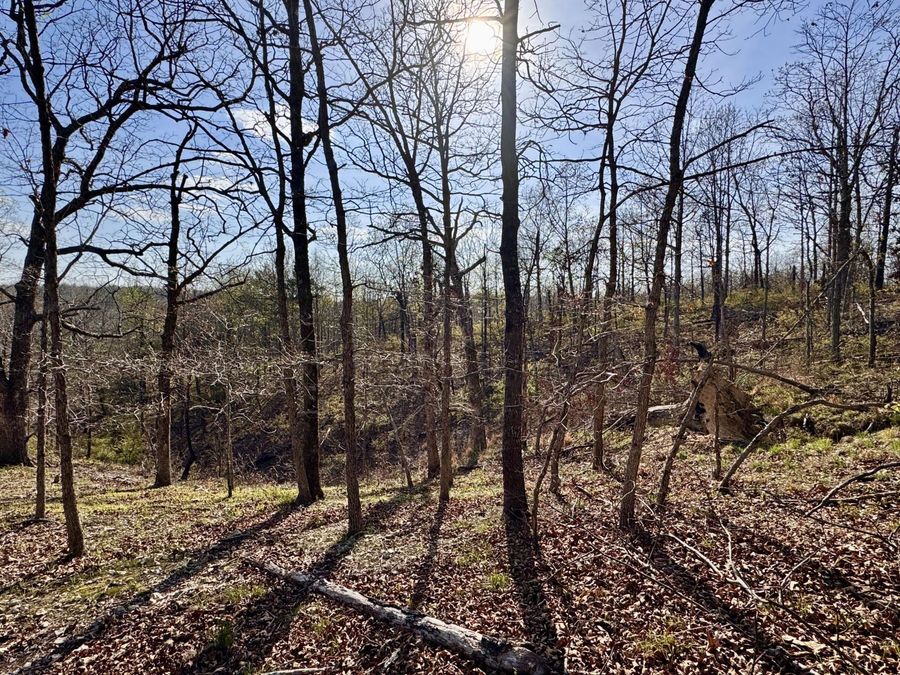 Property Image 19