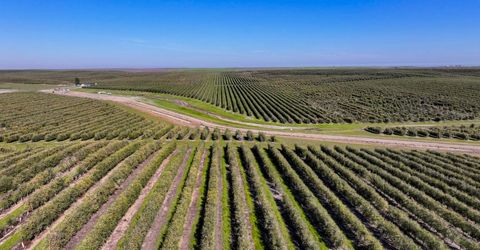 32358 County Road 19, Woodland, CA 95695 Photo