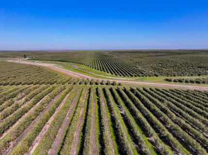 32358 County Road 19, Woodland, CA 95695 Photo