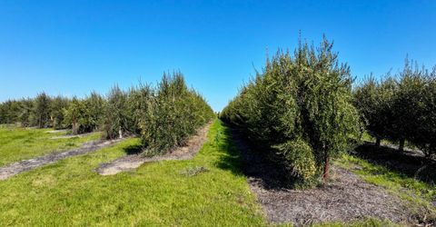 32358 County Road 19, Woodland, CA 95695 Photo