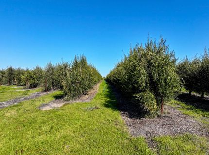 32358 County Road 19, Woodland, CA 95695 Photo