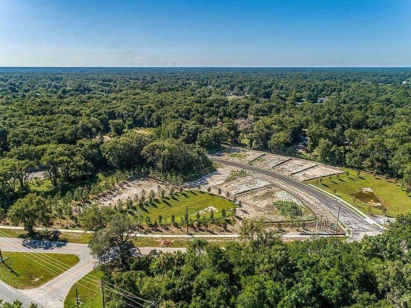 1680 Andover Ridge Drive, Deland, FL 32720 Photo