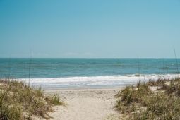 9000 Palmetto Drive photo 4