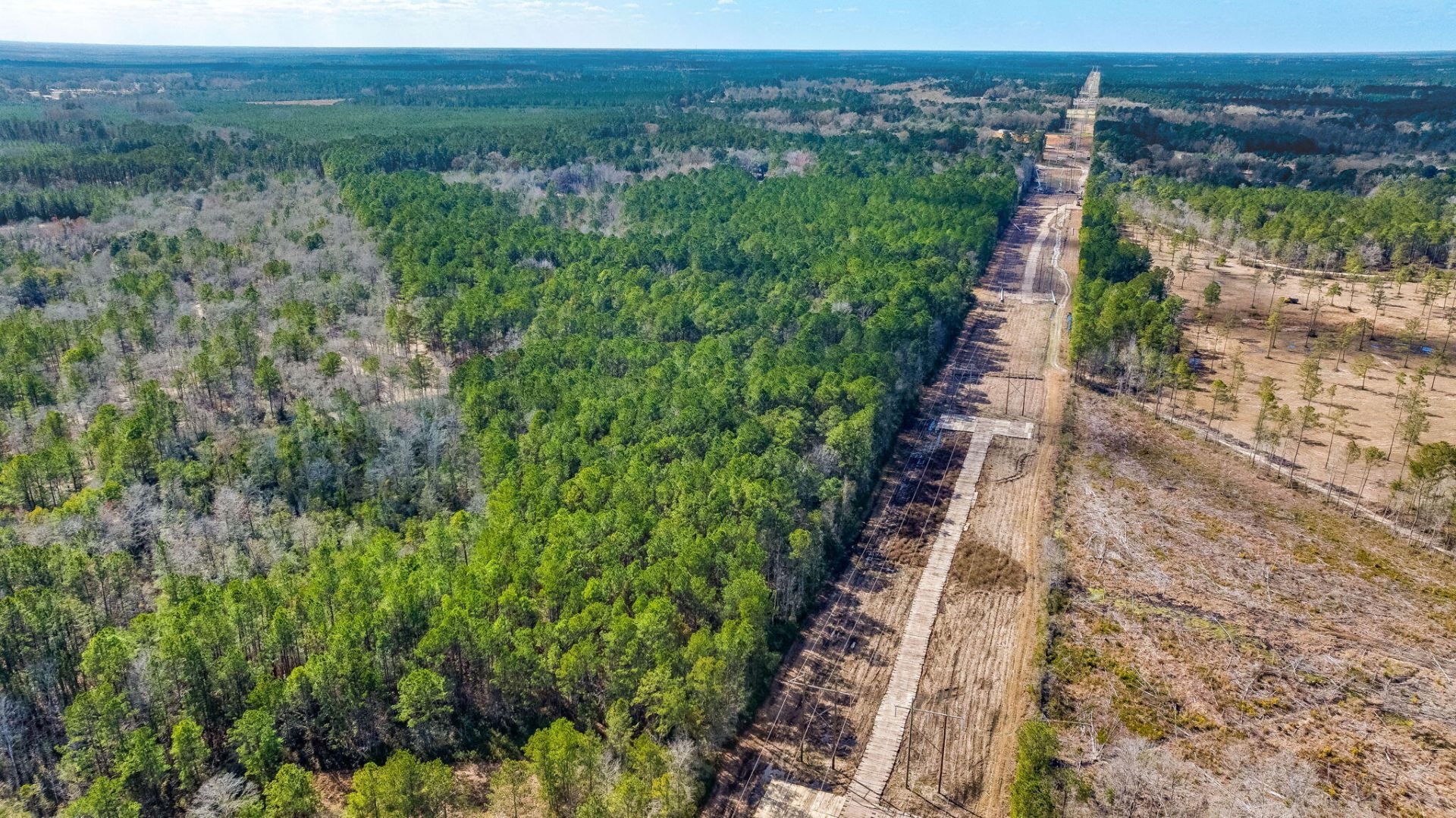 456 Breezewood Lane Photo 10