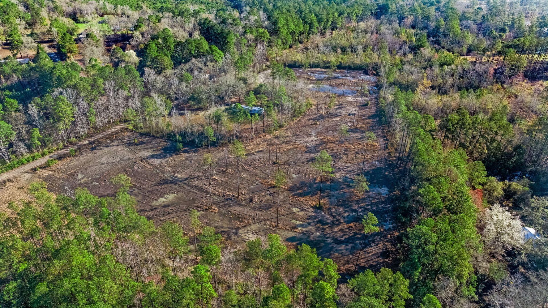 456 Breezewood Lane Photo 4