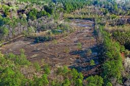 456 Breezewood Lane photo 4