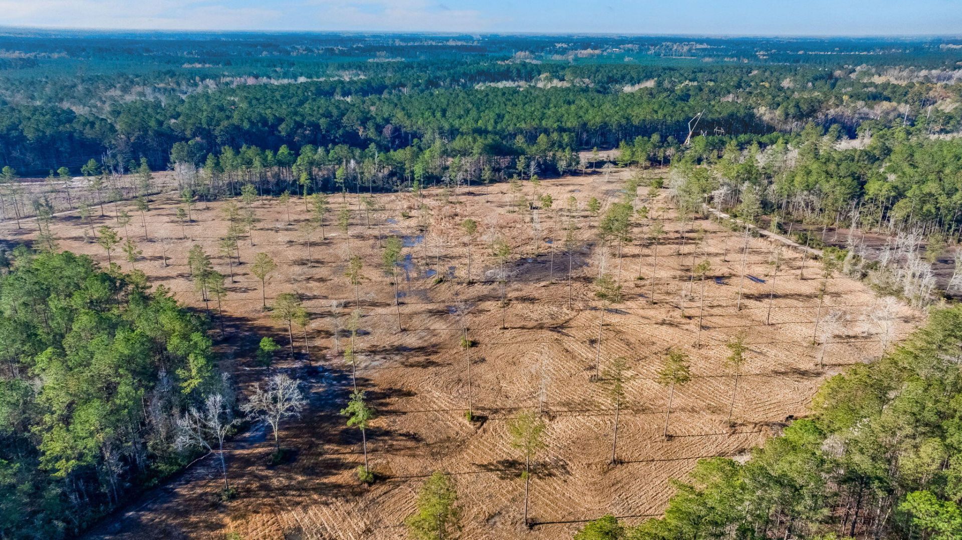 456 Breezewood Lane Photo 5