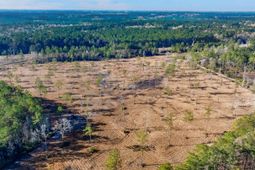 456 Breezewood Lane photo 4