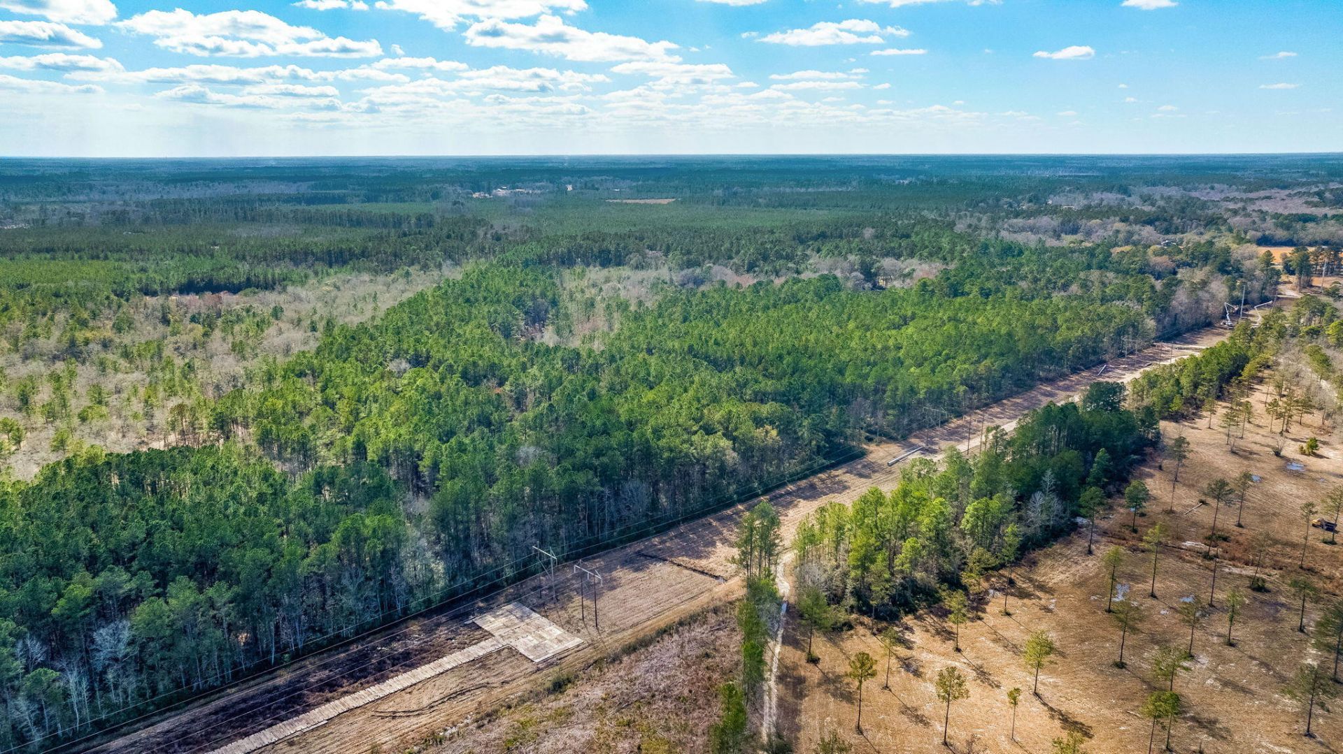 456 Breezewood Lane Photo 6