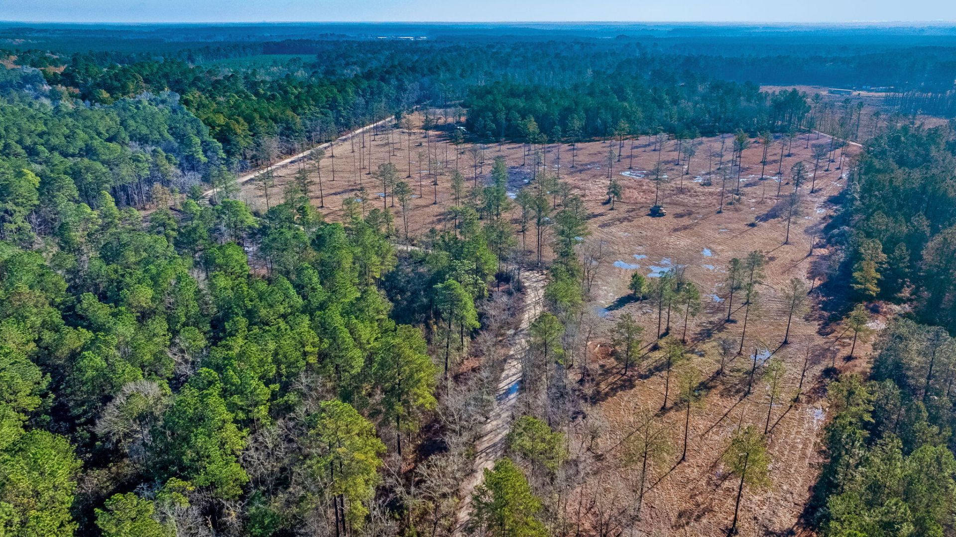 456 Breezewood Lane Photo 7