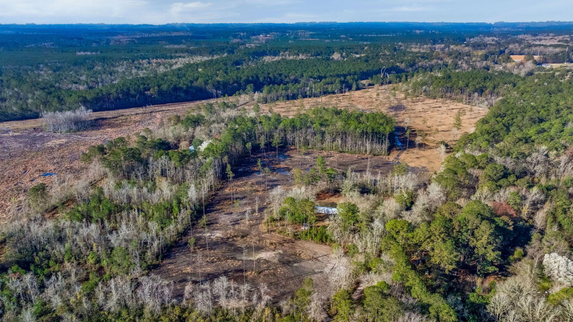 456 Breezewood Lane Photo 8