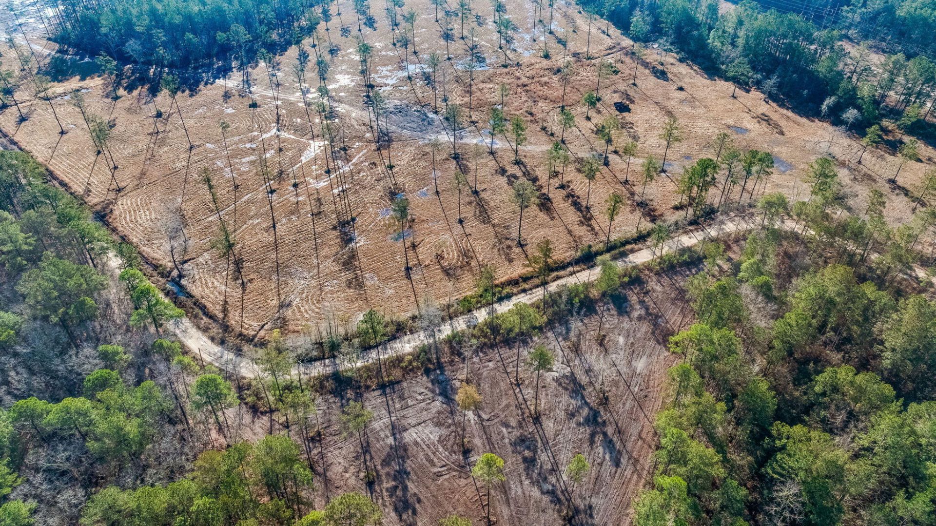 456 Breezewood Lane Photo 9