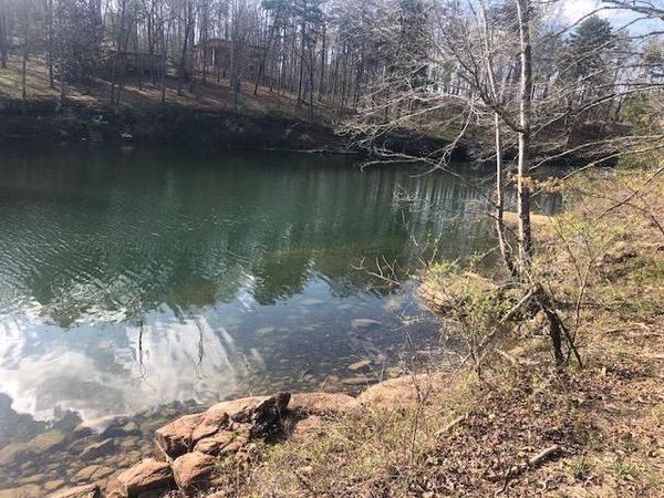 0 LAUREL COVE, Arley, AL 35541