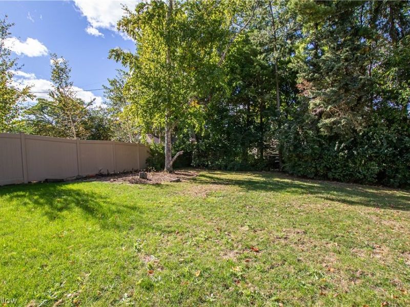 18220 Parkland Drive, Shaker Heights, OH 44122 Photo 6