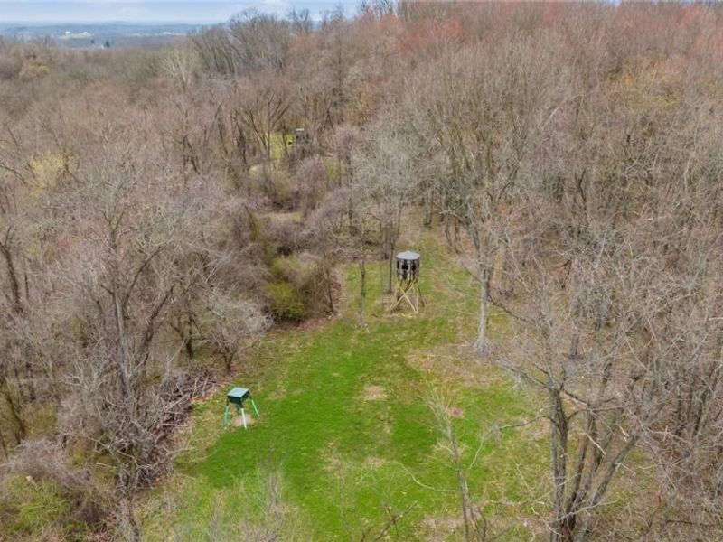 19462 Kansas Road, Salesville, OH 43778 Photo 27