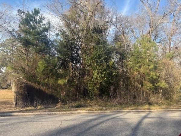 Near 217/TBD East Clay St., Whiteville, NC 28472