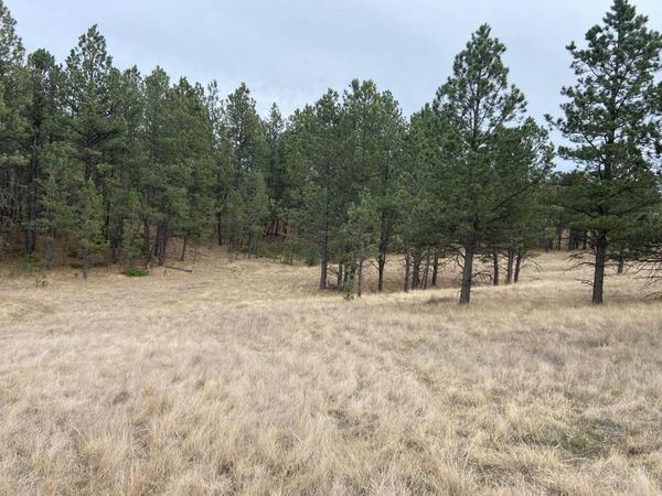 TBD Sundance Drive, Hot Springs, SD 57747