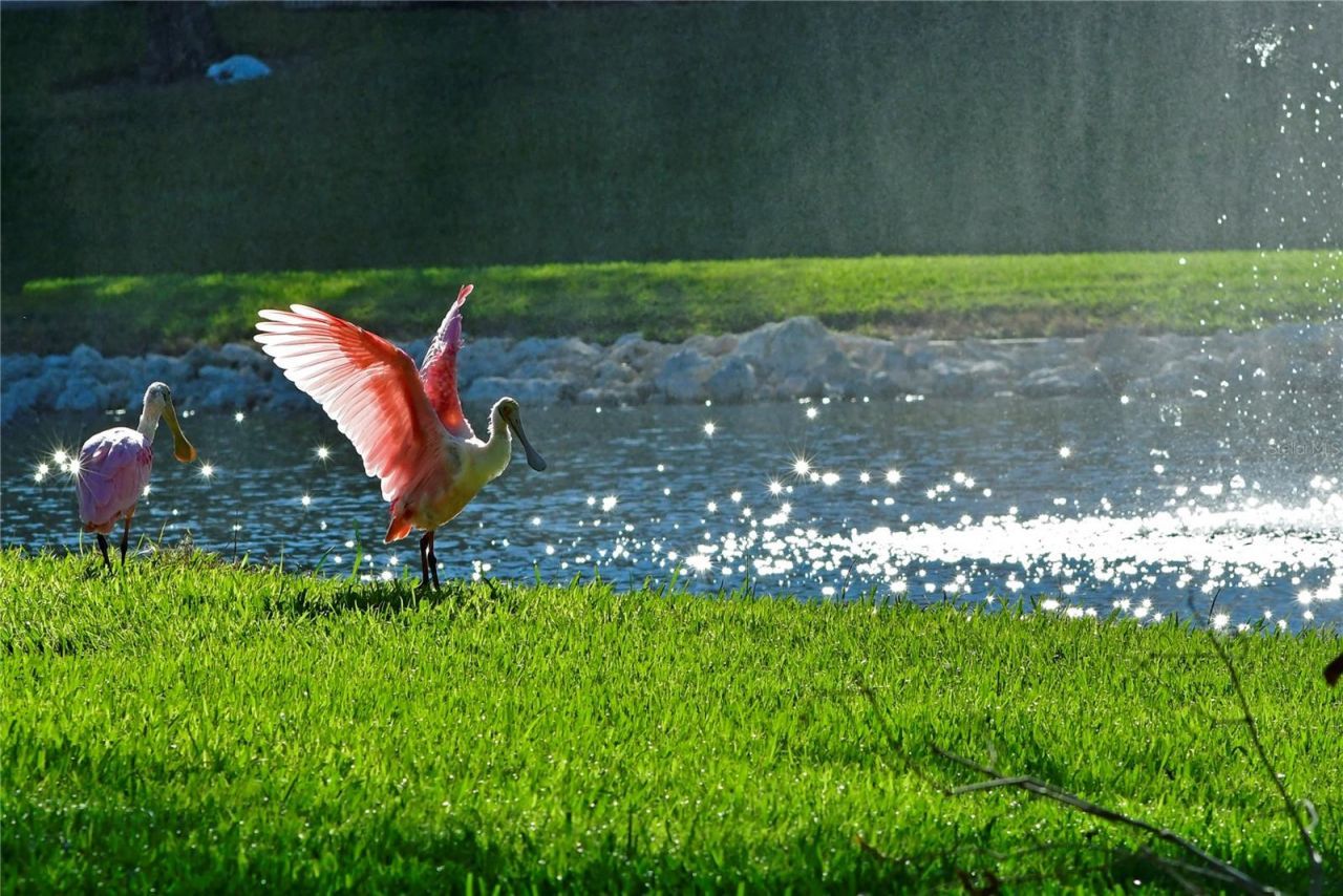 4726 Potomac Circle, Bradenton, FL 34210 Photo