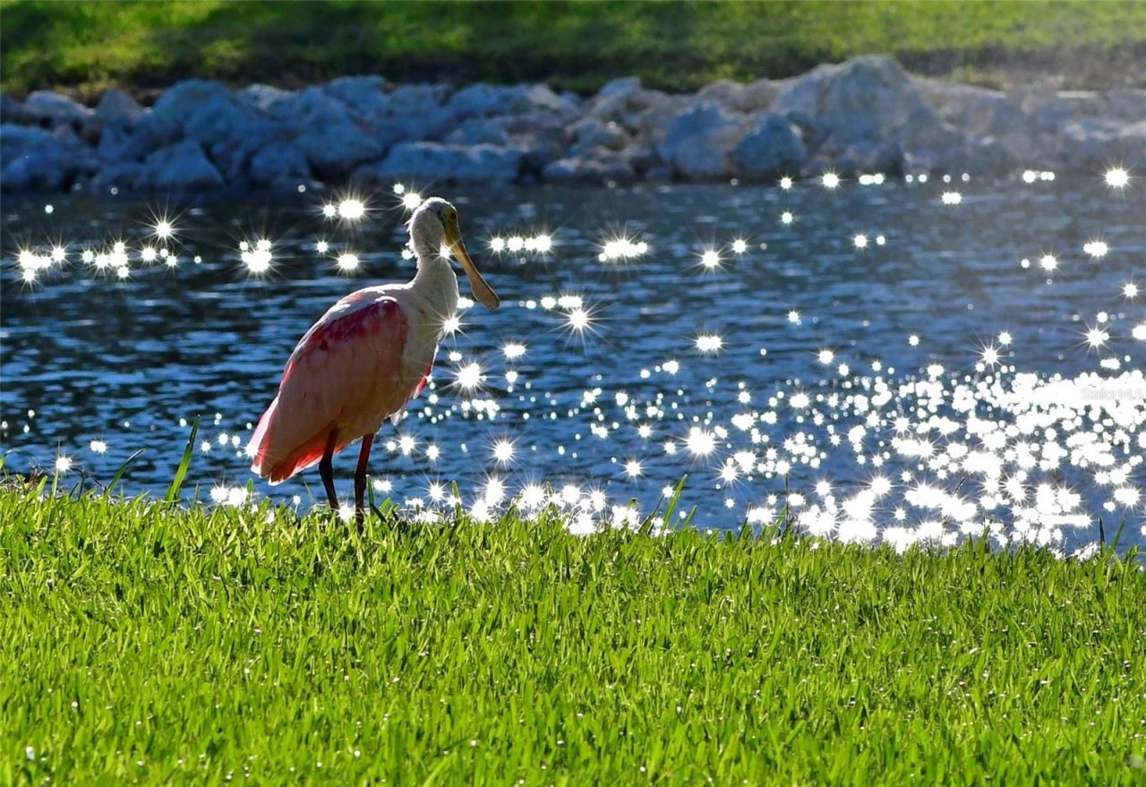 4726 Potomac Circle, Bradenton, FL 34210 Photo