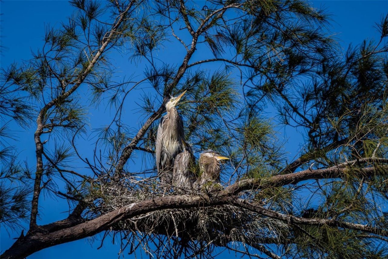 4726 Potomac Circle , Bradenton, FL 34210 Photo