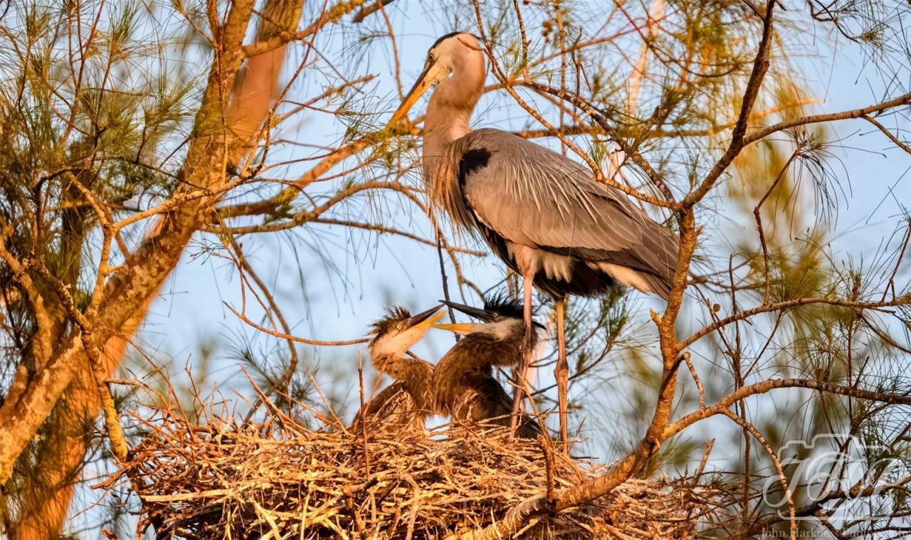 4726 Potomac Circle , Bradenton, FL 34210 Photo