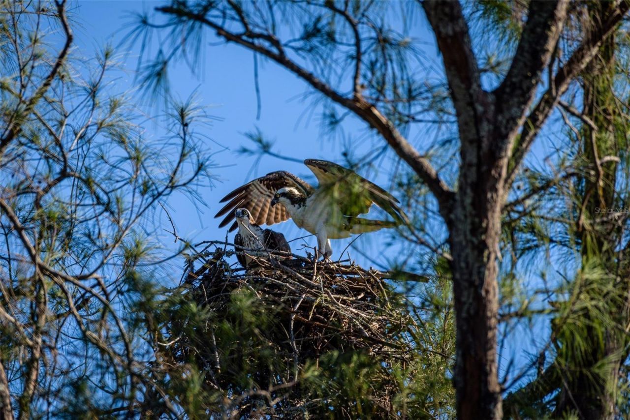 4726 Potomac Circle, Bradenton, FL 34210 Photo