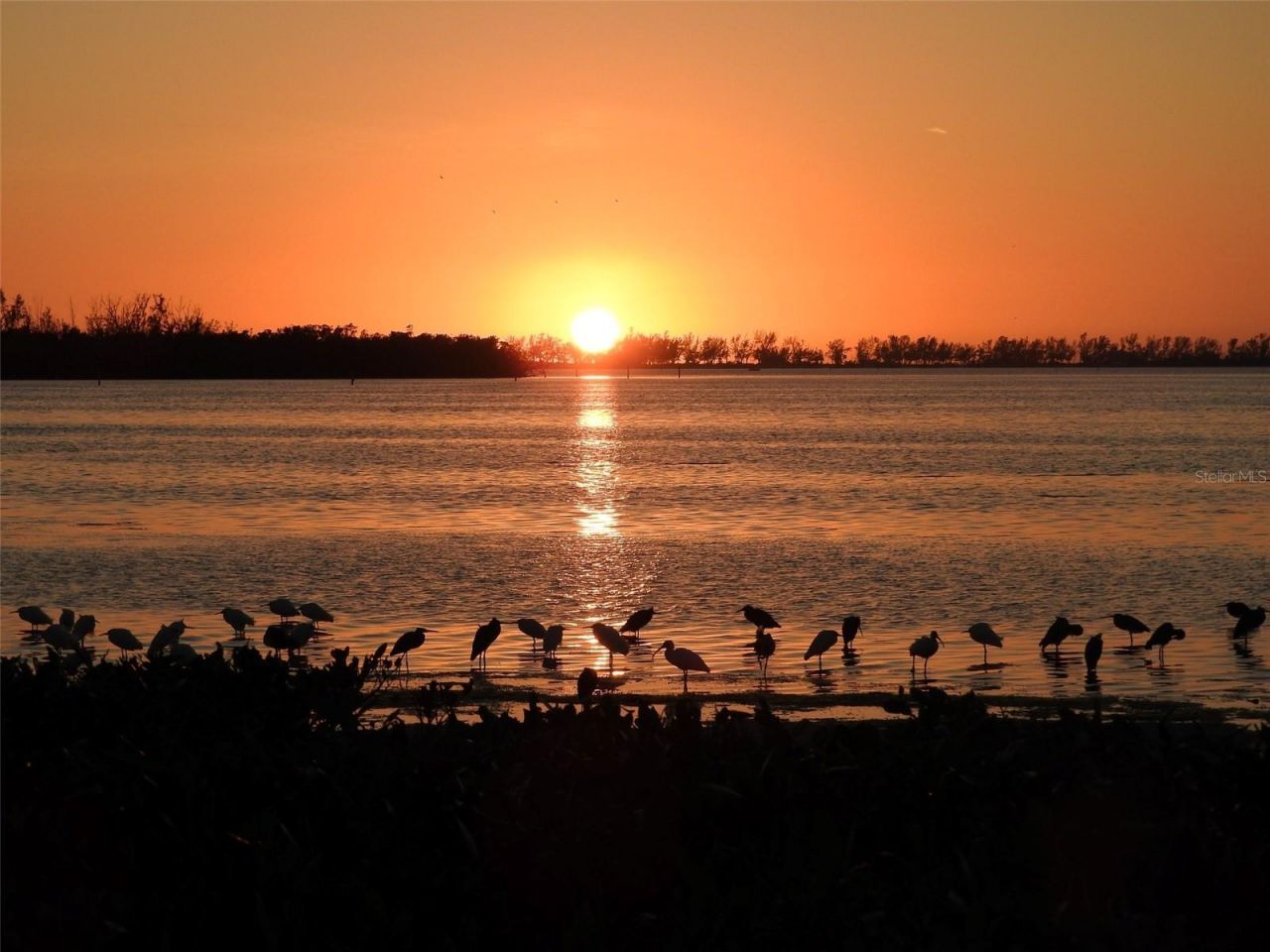 4726 Potomac Circle, Bradenton, FL 34210 Photo