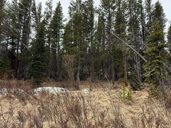 111 Silver Creek Road , Idaho Springs, CO 80452