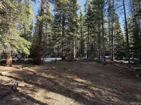 611 Silver Creek Road , Idaho Springs, CO 80452