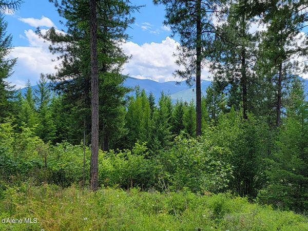 Bootlegger Lane- Parcel 1 , Bonners Ferry, ID 83805