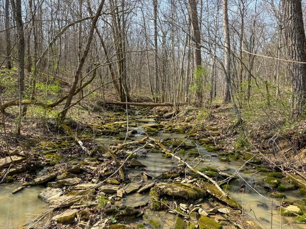 4077 Justin Scott Lane, Germantown, KY 41044