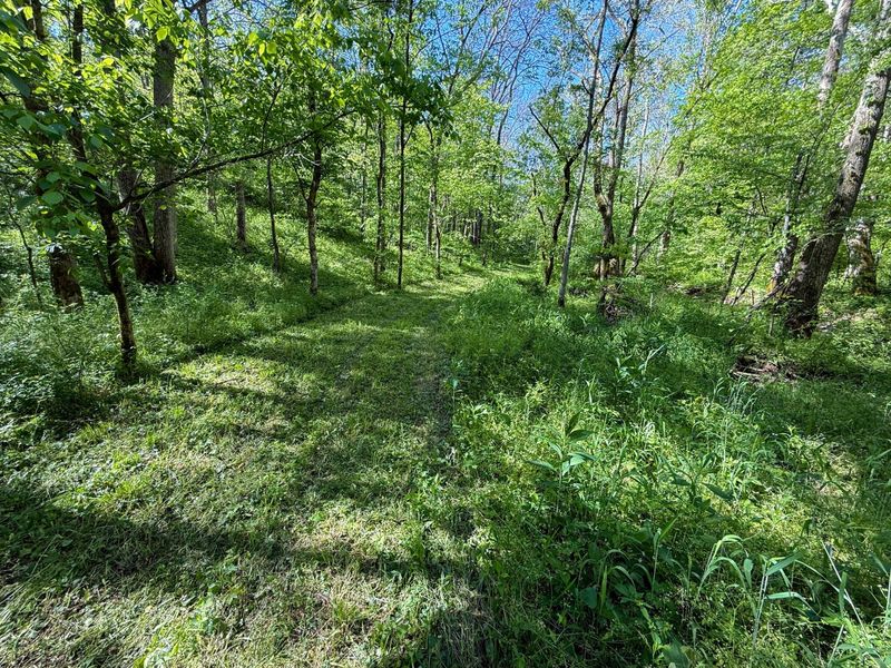 4077 Justin Scott Lane, Germantown, KY 41044 Photo 17