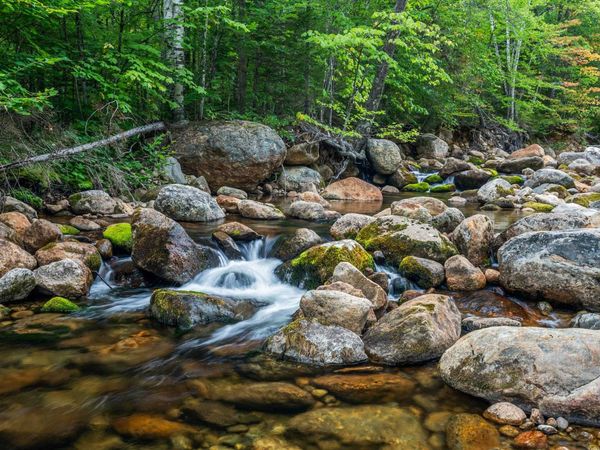 20 Meloon Road, Jackson, NH 03846