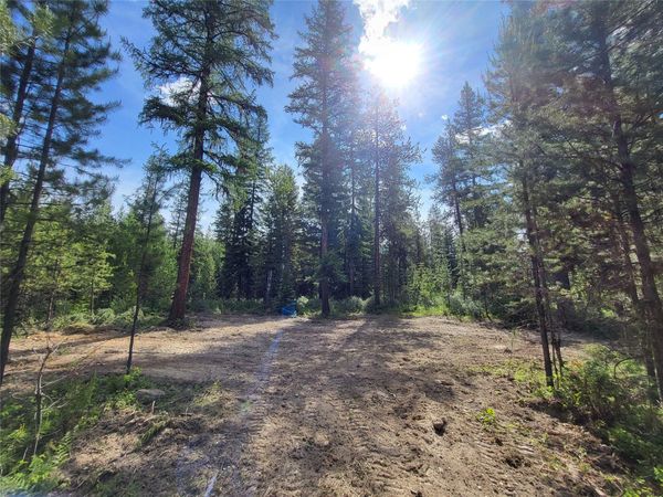 34388 Shay Lake Road, Bigfork, MT 59911