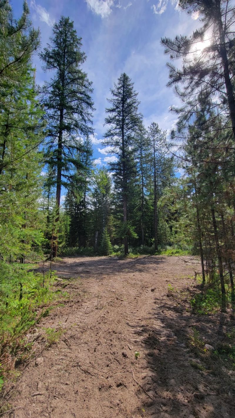 34388 Shay Lake Road, Bigfork, MT 59911 Main Photo