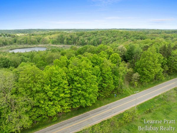 VL Hutchinson Road, Dowling, MI 49050