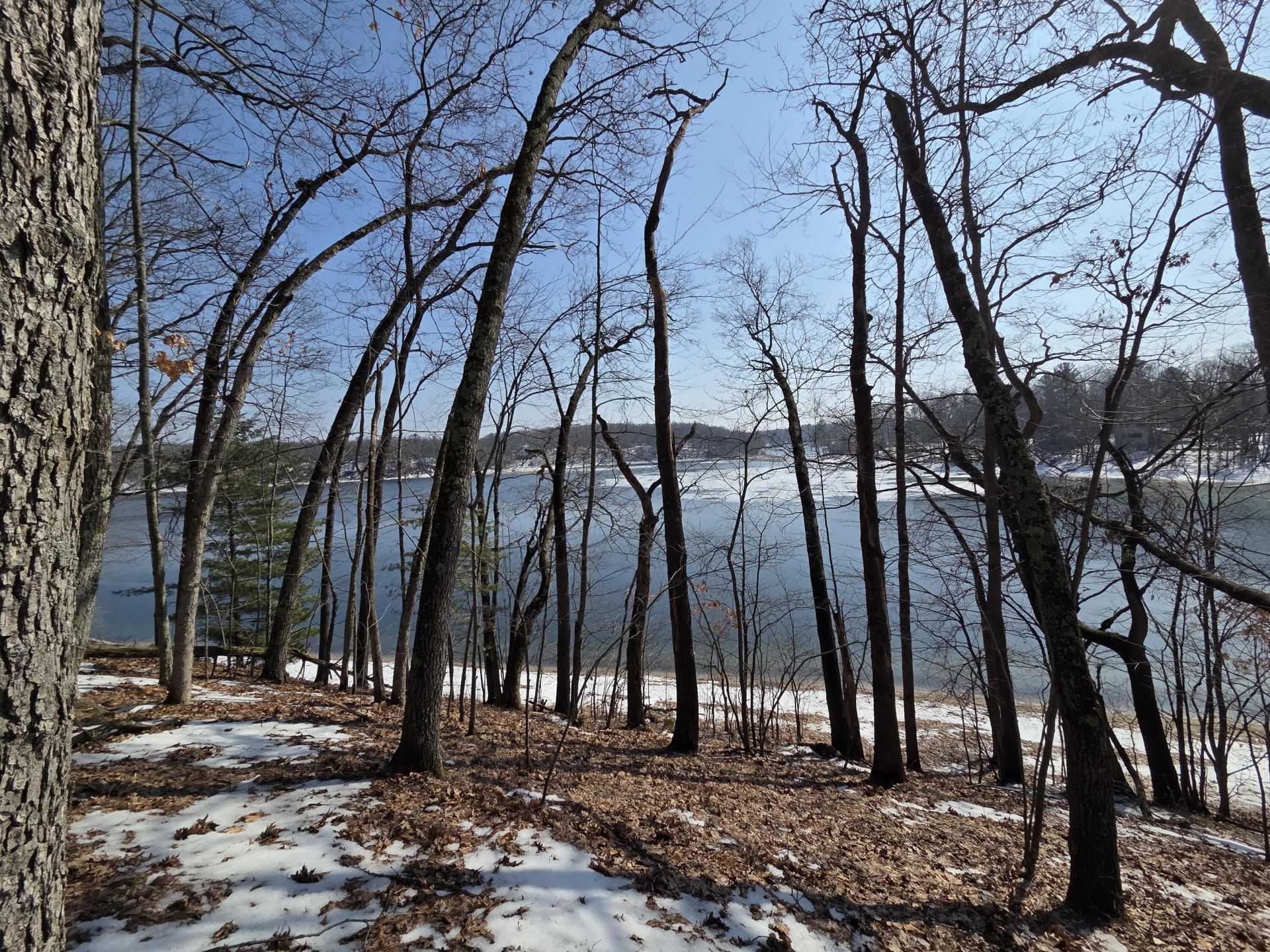 9110 S Oxeye Avenue, Baldwin, MI 49304 Main Photo