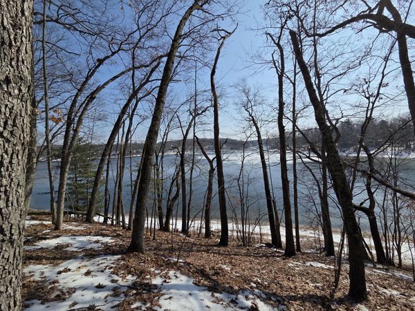 9110 S Oxeye Avenue, Baldwin, MI 49304