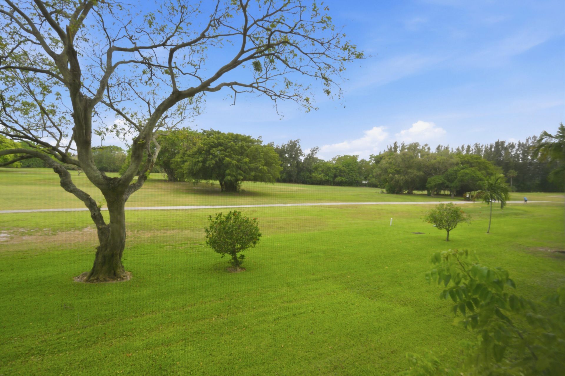 3100 N Palm Aire Drive, Unit 208, Pompano Beach, FL 33069 Photo