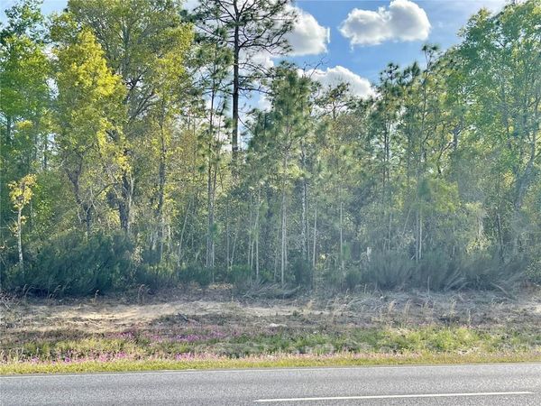 TBD NE HIGHWAY 27 ALT , WILLISTON, FL 32696