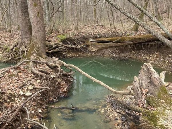 65 +/- Acres Pendleton Lost Creek Road, Warrenton, MO 63383