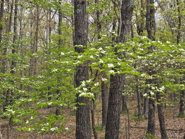 Tract D Golden Lane , Lebanon, MO 65536