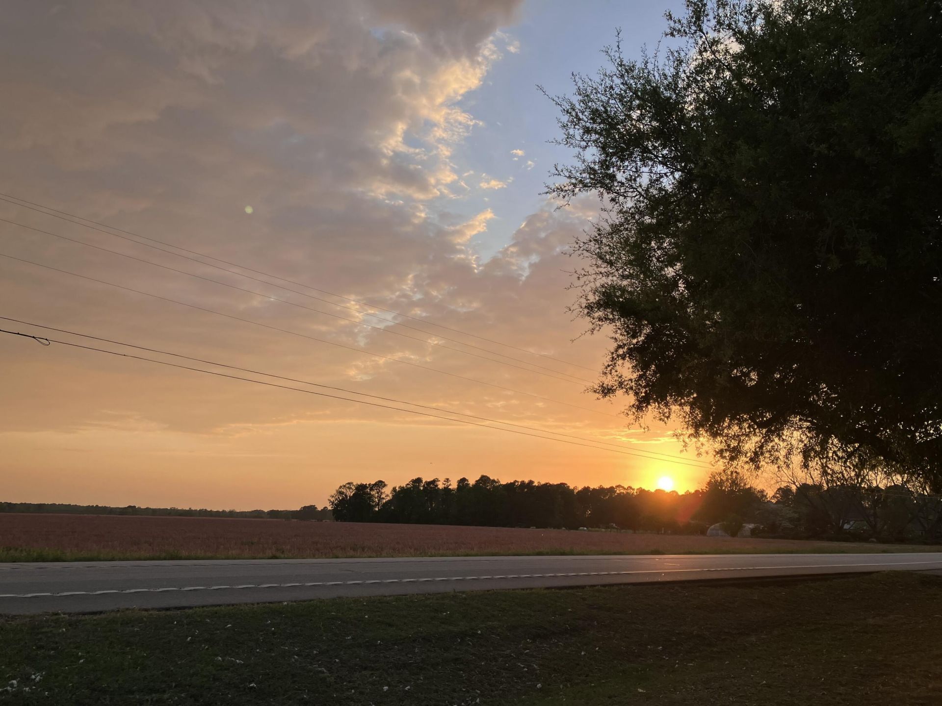 5497 Old Number Six Highway Photo 30