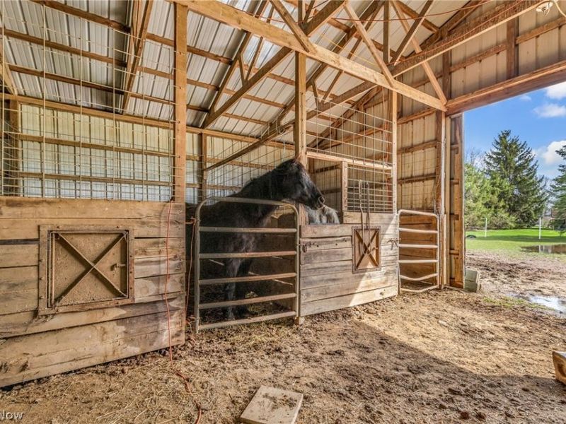 3953 Marion Bucyrus Road, Marion, OH 43302 Photo 35