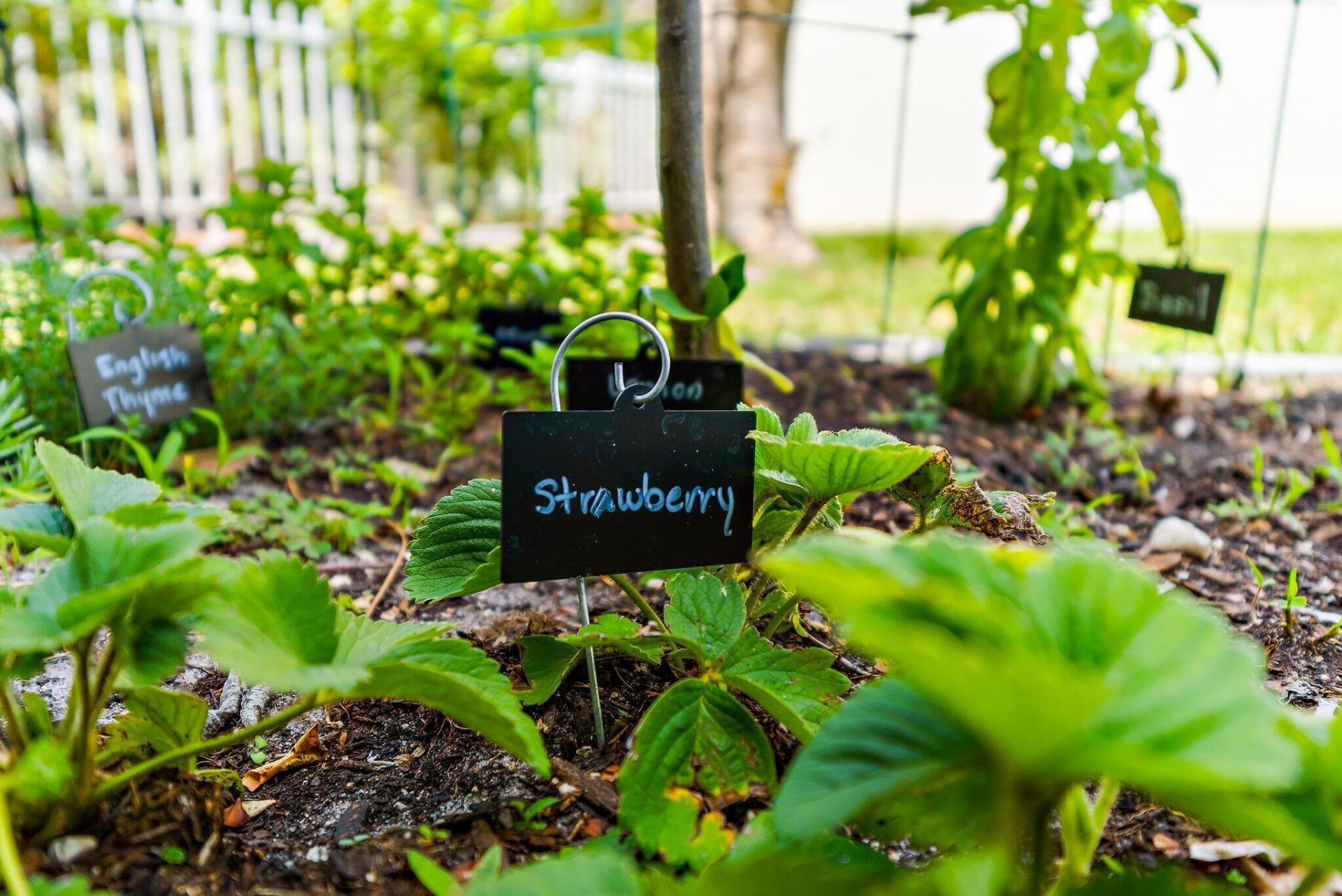 5263 SE Sweetbrier Terrace, Hobe Sound, FL 33455 Photo