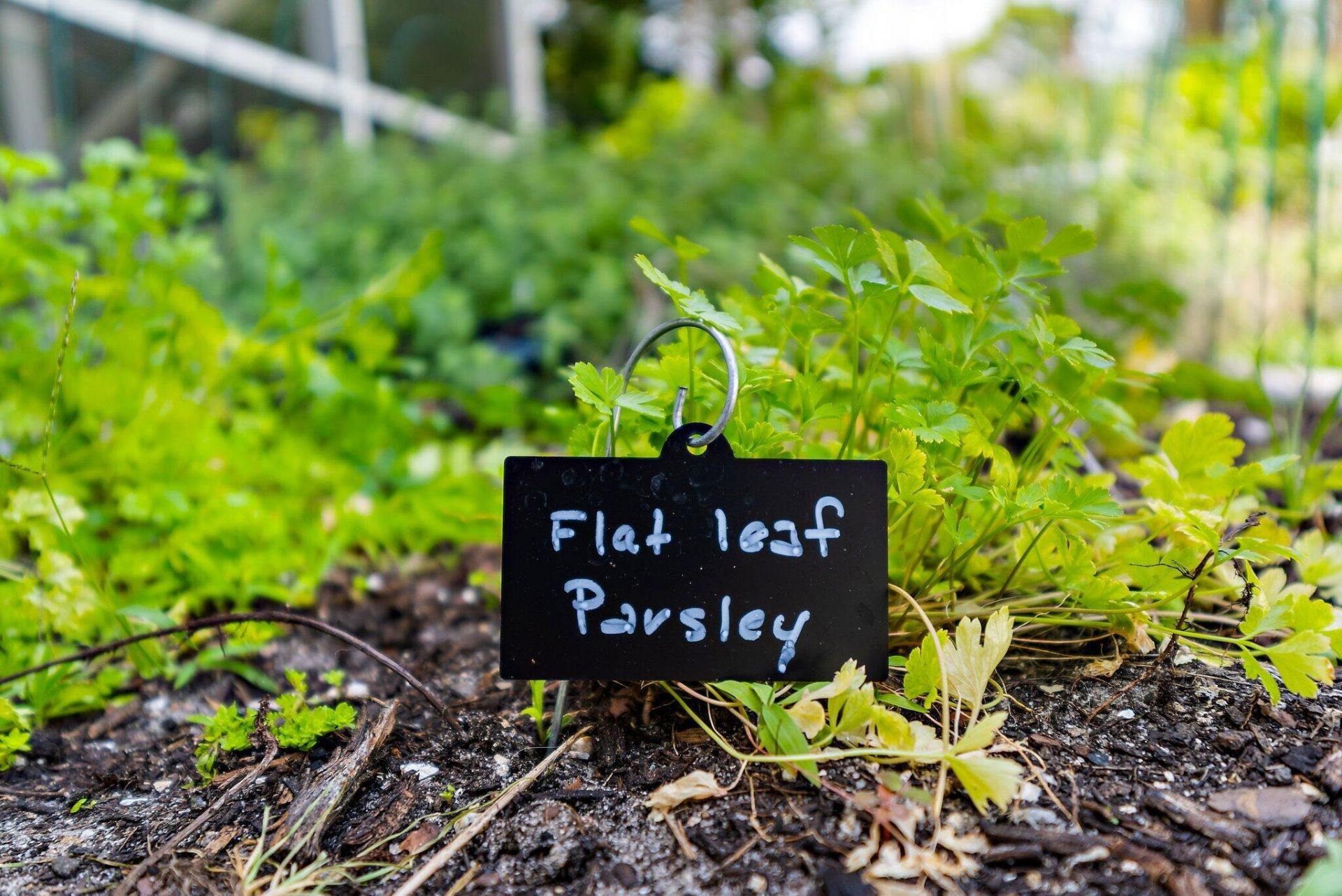 5263 SE Sweetbrier Terrace, Hobe Sound, FL 33455 Photo