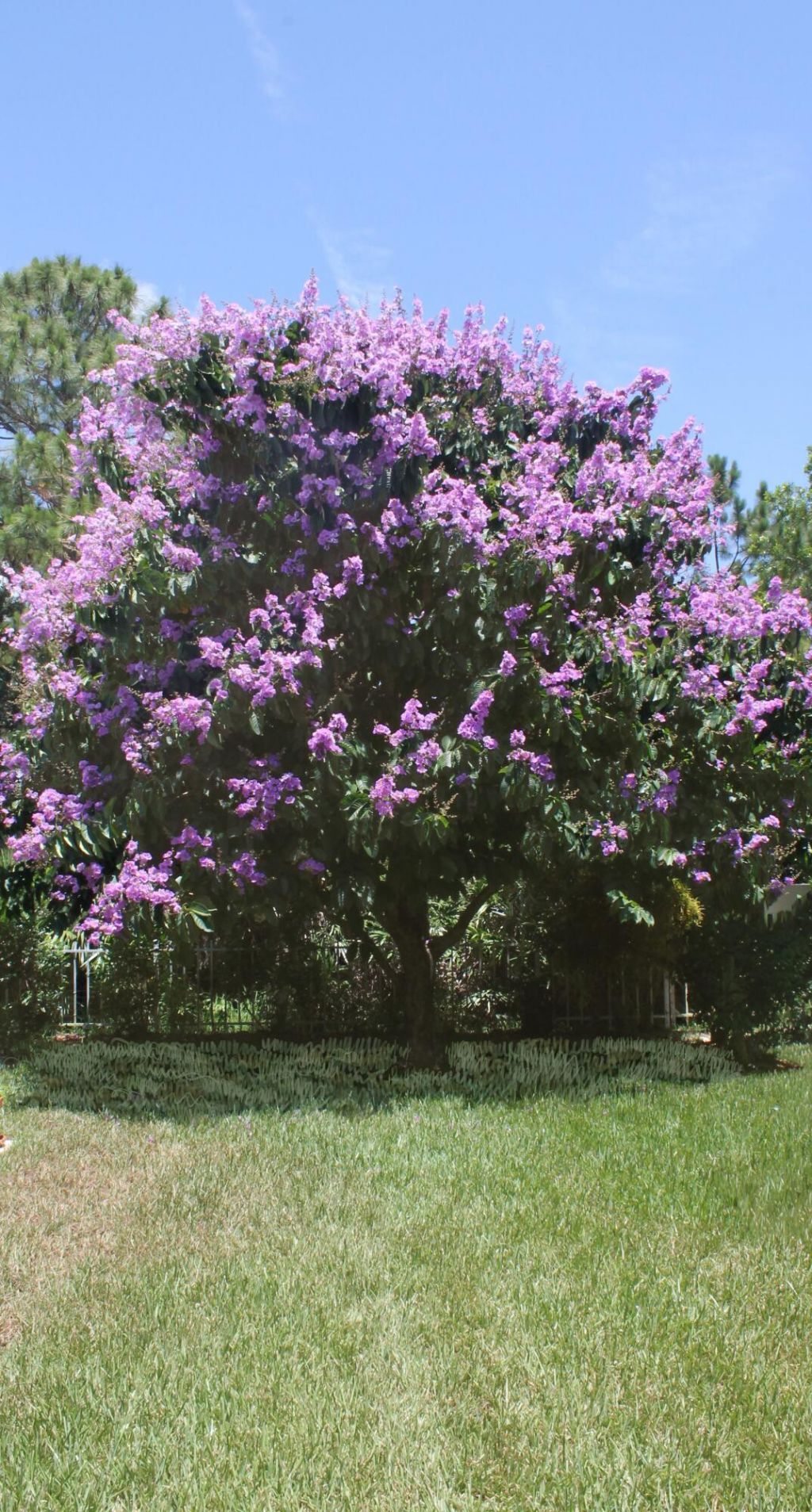 5263 SE Sweetbrier Terrace, Hobe Sound, FL 33455 Photo