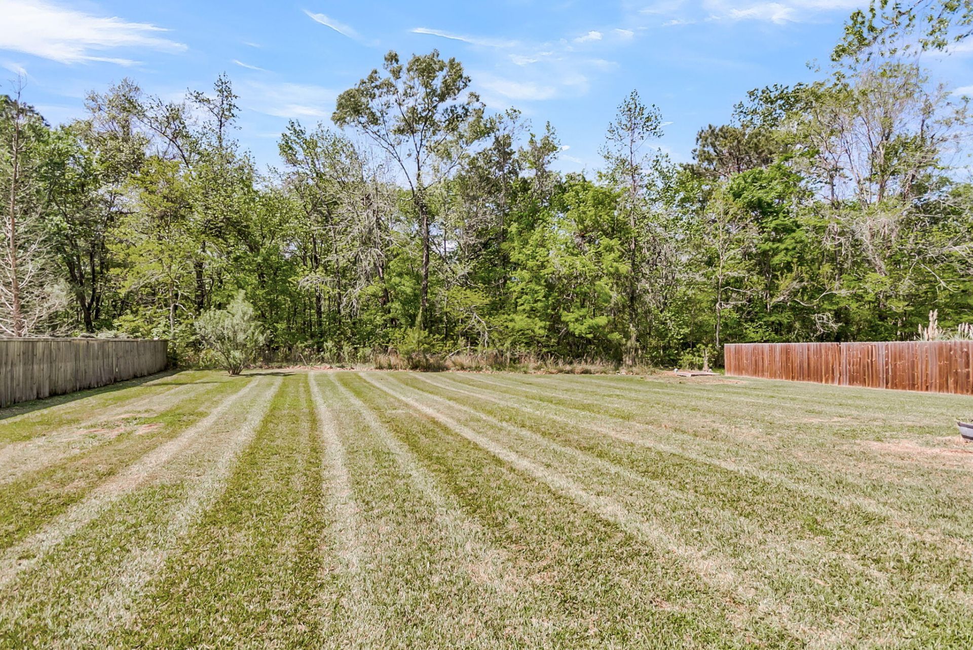 113 Waddington Trace Photo 55