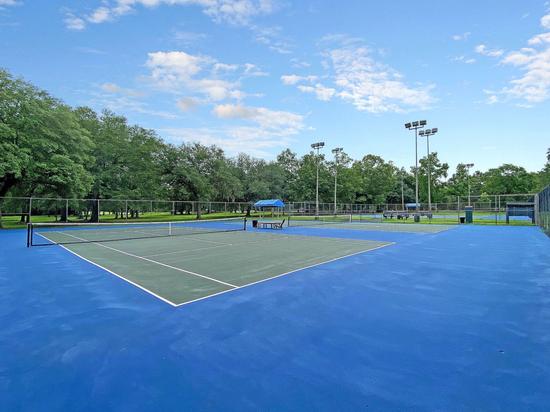 113 Waddington Trace Photo 63