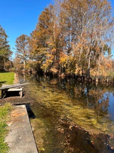 11671 E Salmon Drive , Floral City, FL 34436 Photo